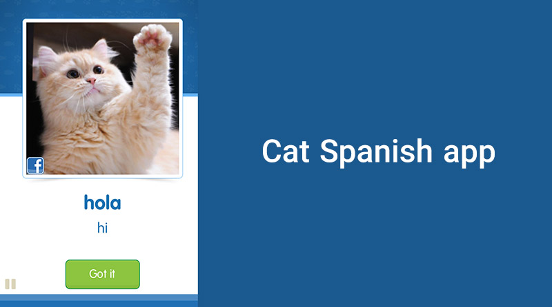 cat spanish app یادگیری زبان اسپانیایی