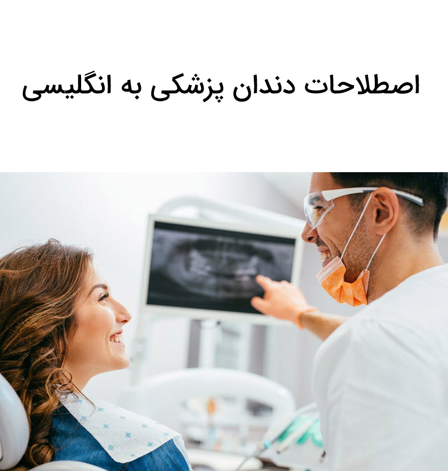 اصطلاحات دندان پزشکی به انگلیسی