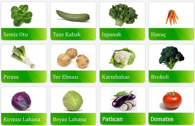 لیست سبزیجات(sebzeler)  در ترکی استانبولی
