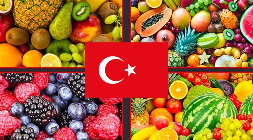 میوه ها و سبزیجات به زبان ترکی استانبولی با ترجمه