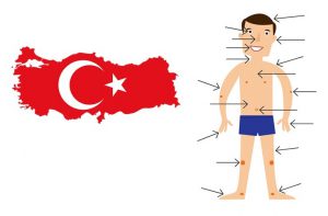 اعضای بدن در زبان ترکی استانبولی