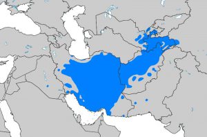 کدام کشورها به زبان فارسی صحبت می‌کنند؟