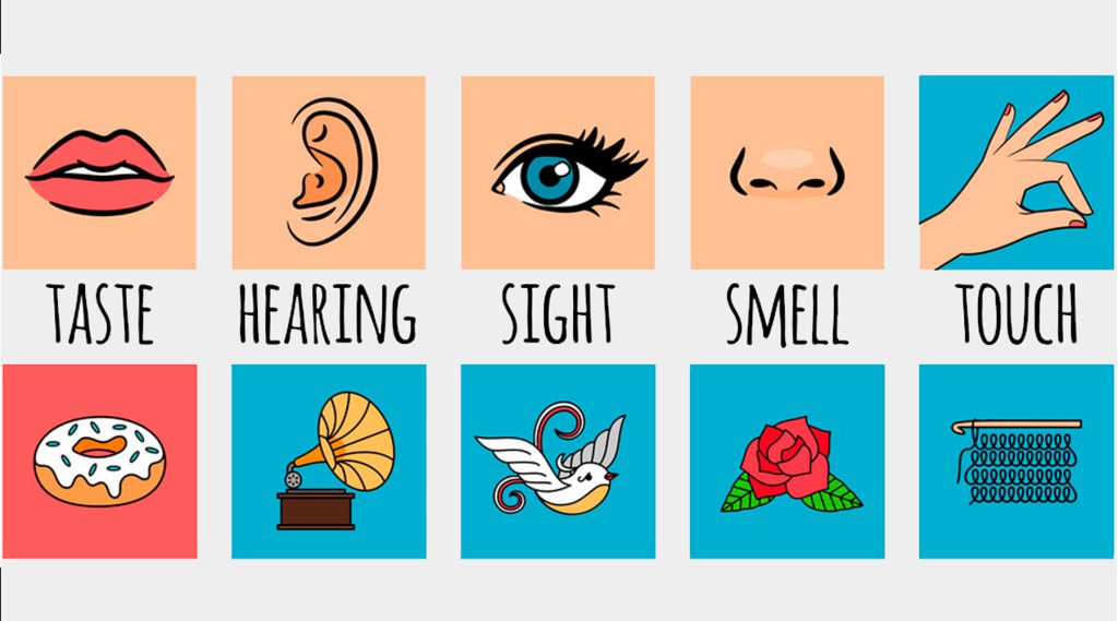 حواس پنجگانه Five Senses به انگلیسی با مثال و ترجمه