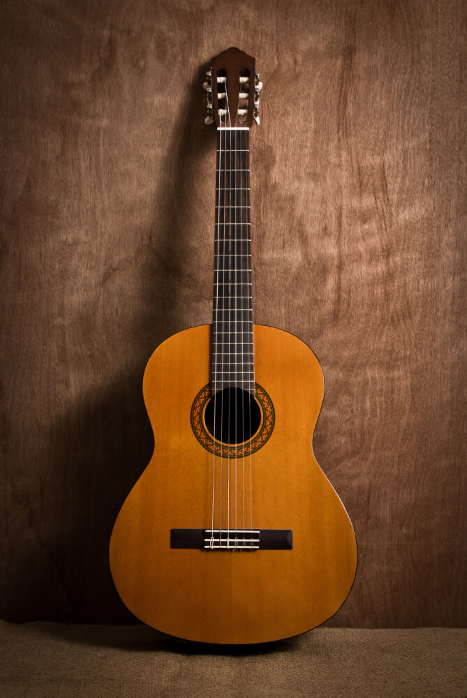 felamenco guitar