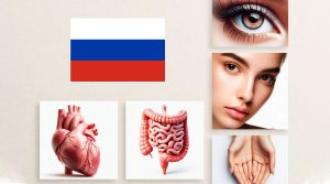 لیست اعضای بدن در زبان روسی
