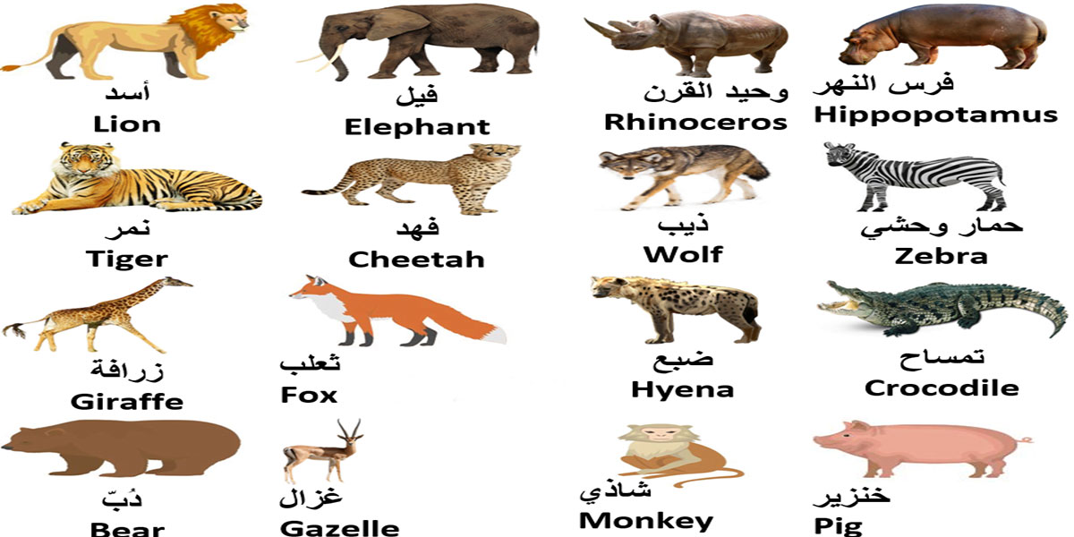اسامی حیوانات در طبیعت و جنگل به عربی