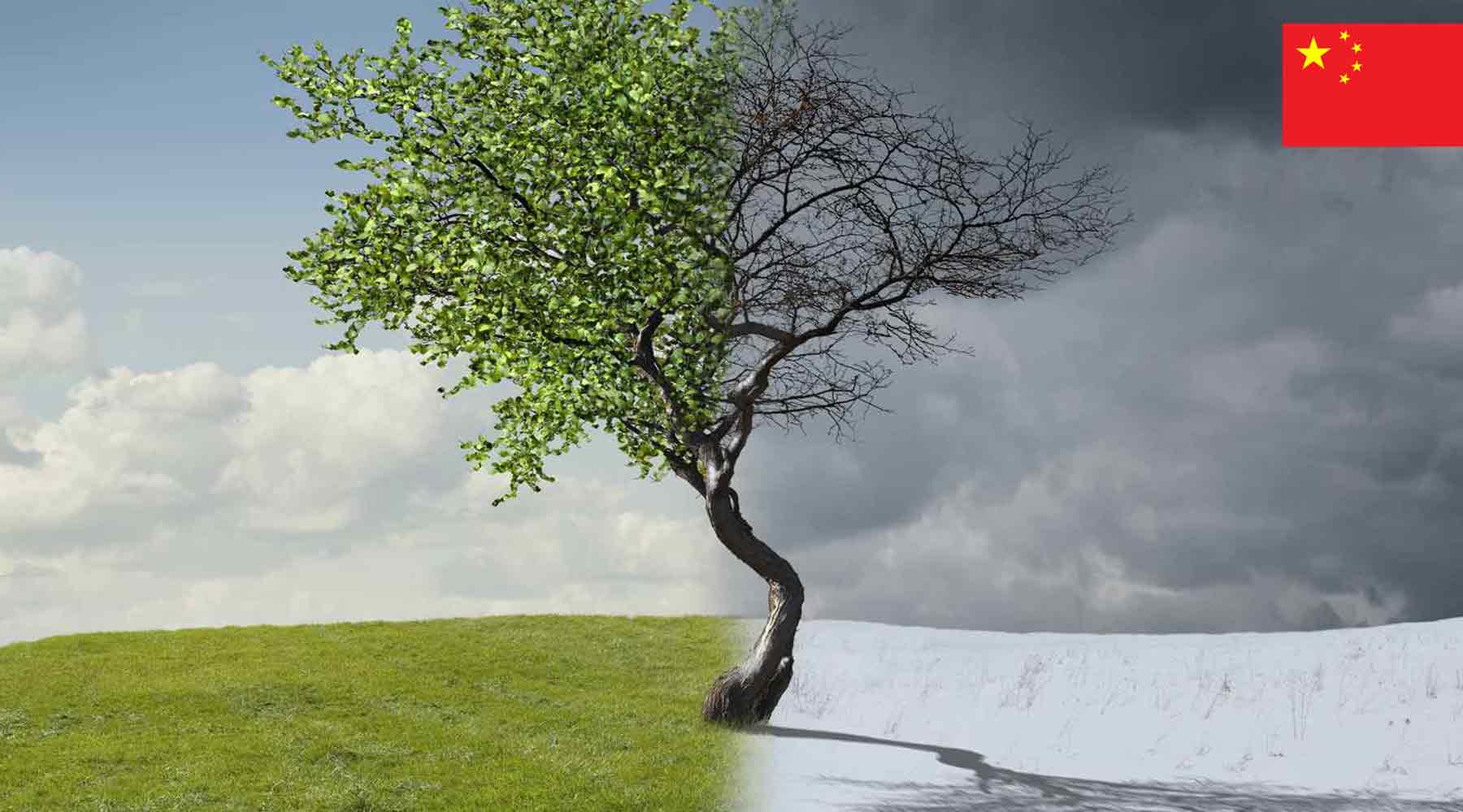 اصطلاحات هواشناسی به زبان چین