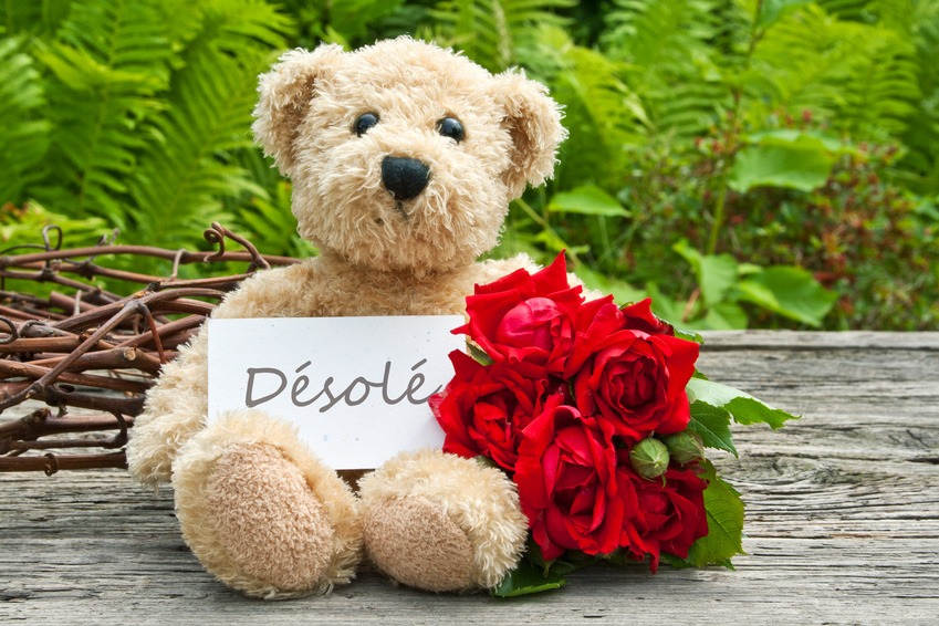 رایج‌ترین عبارت برای عذرخواهی به فرانسوی چیه؟